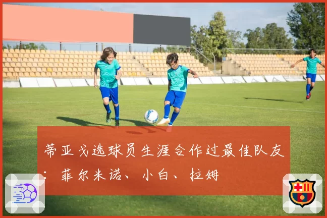 蒂亚戈选球员生涯合作过最佳队友：菲尔米诺、小白、拉姆