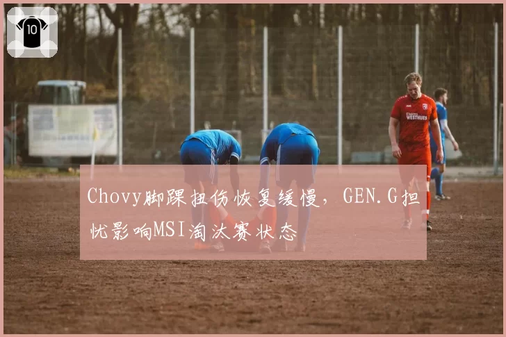 Chovy脚踝扭伤恢复缓慢,GEN.G担忧影响MSI淘汰赛状态